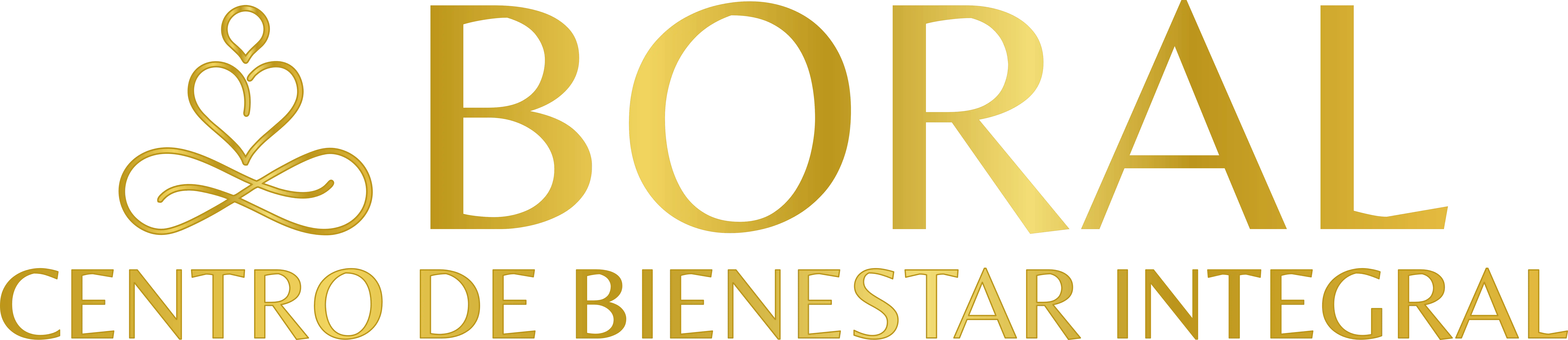 Logo Centro Boral